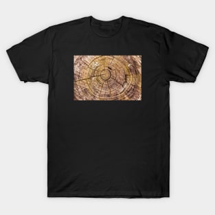 Tree Rings From Forest Harvest T-Shirt